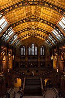 Muzeum historii naturalnej, wnętrze, Londyn, podróże, podróże po Europie, fotografia Monika Turska