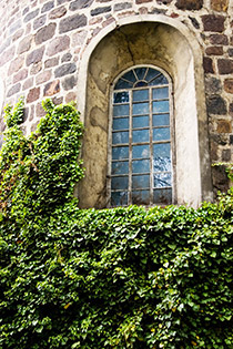 Detal architektoniczny, okno, cykl okna, bluszcz, architektura romańska, podróże, podróże po Europie, fotografia Monika Turska
