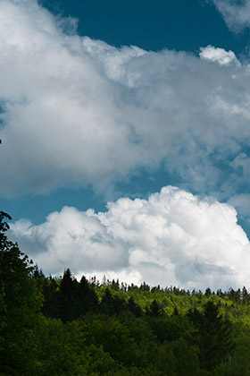 Beskid Makowski, las i chmury, niebo, fotografia Monika Turska