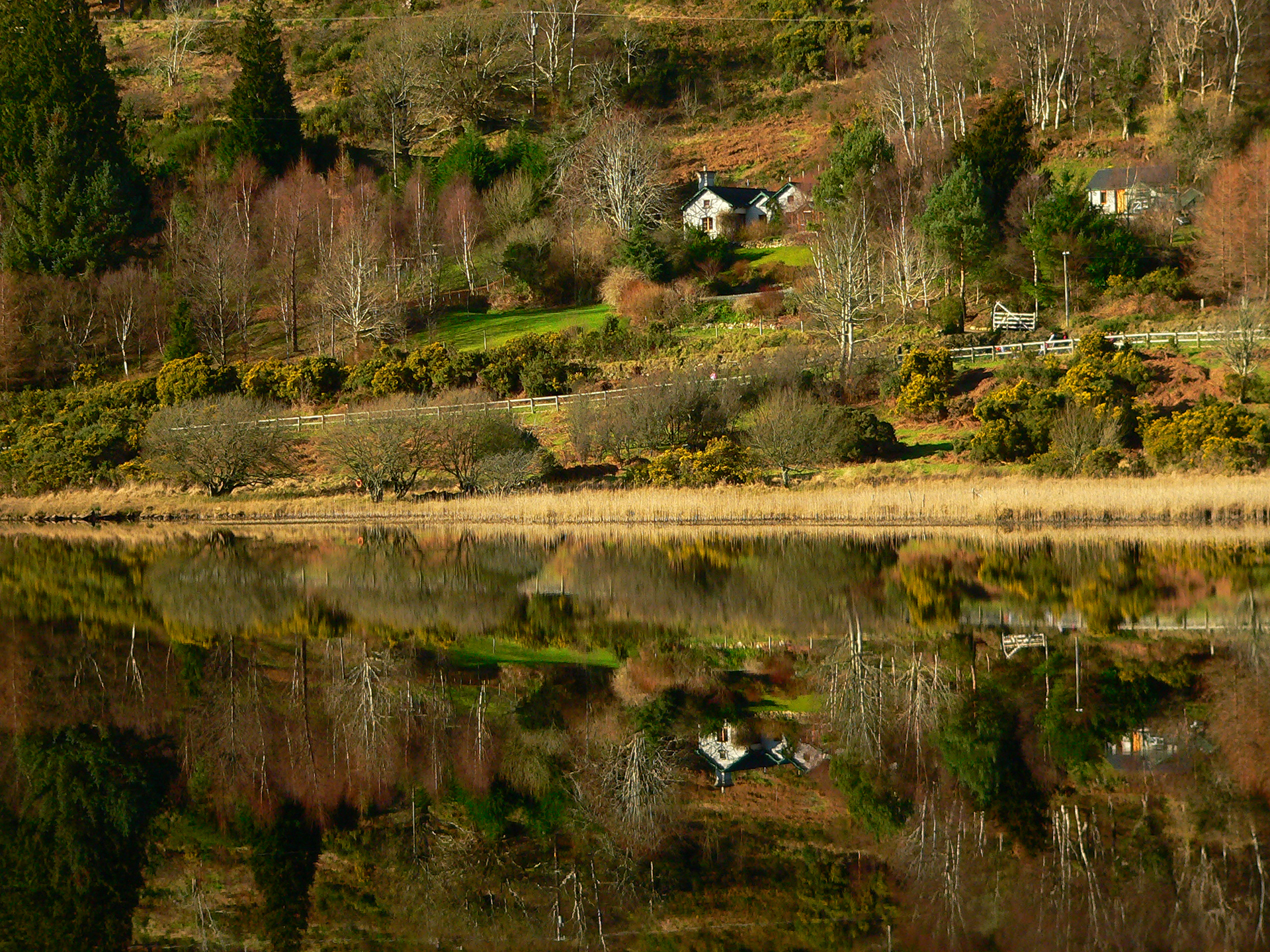 Irlandia, Glandalough, jesień w górach, podróże, fotografia Monika Turska